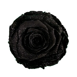 Classic natural black preserved rose with a diamond effect.