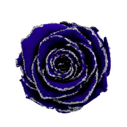 Blue Preserved Roses in Silver Glitter Heart – Flowers By Crystal