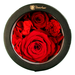 25 Red Roses Love Box – Flora Lamer