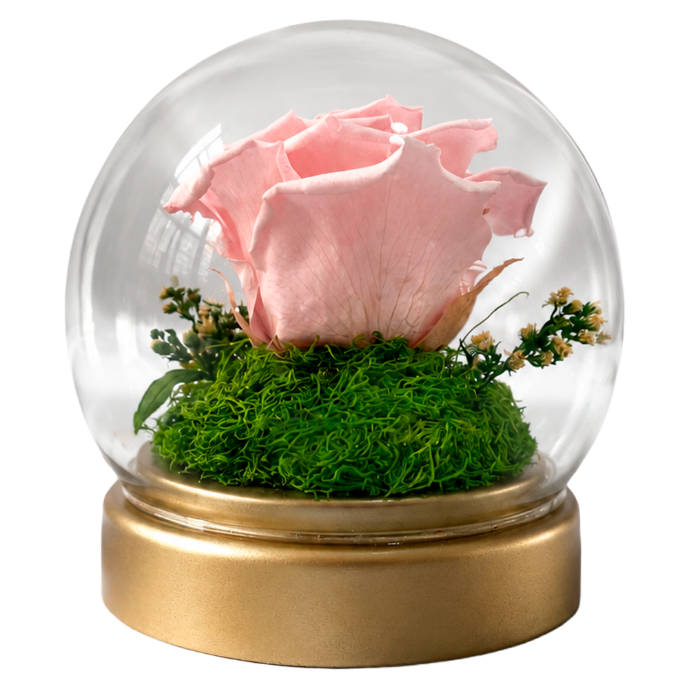 Glass dome encasing a pink rose resting on green moss, mounted on a gold base (decorative keepsake)