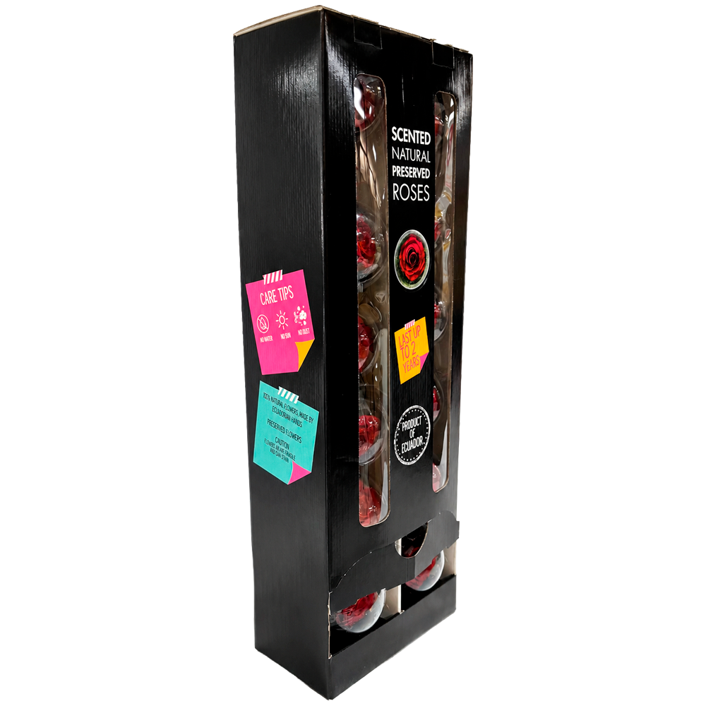 Black gift box with window panels showing preserved red roses inside.