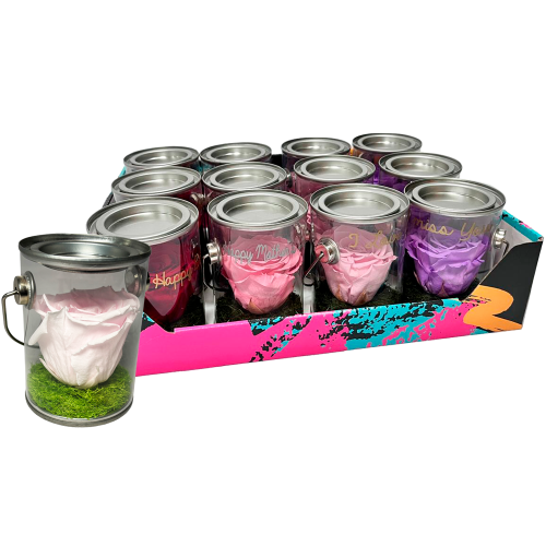 DISPLAY BUCKET_WEB