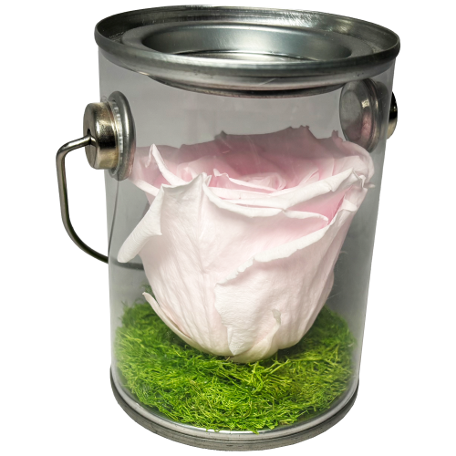 GB BUCKET_WEB