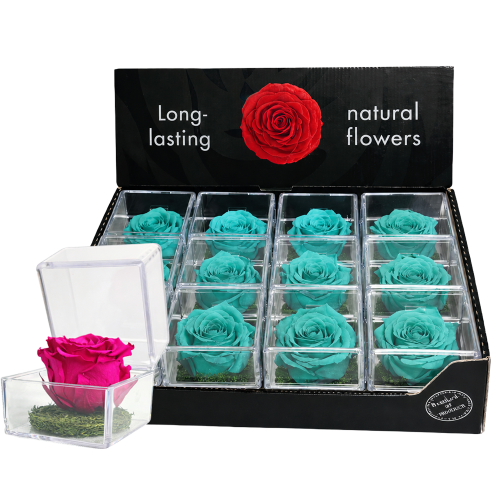 Display box of turquoise preserved roses arranged in clear plastic compartments; one pink rose sits in a separate clear box in front
